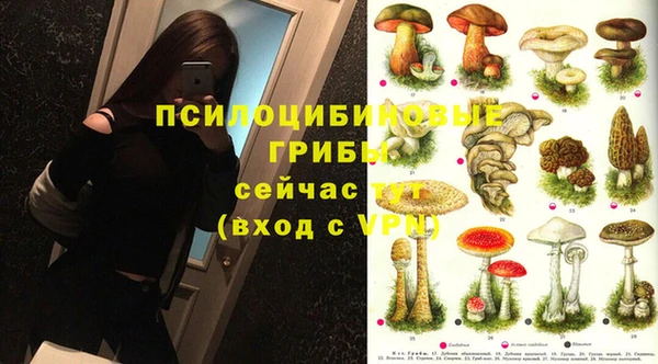 крисы Ладушкин